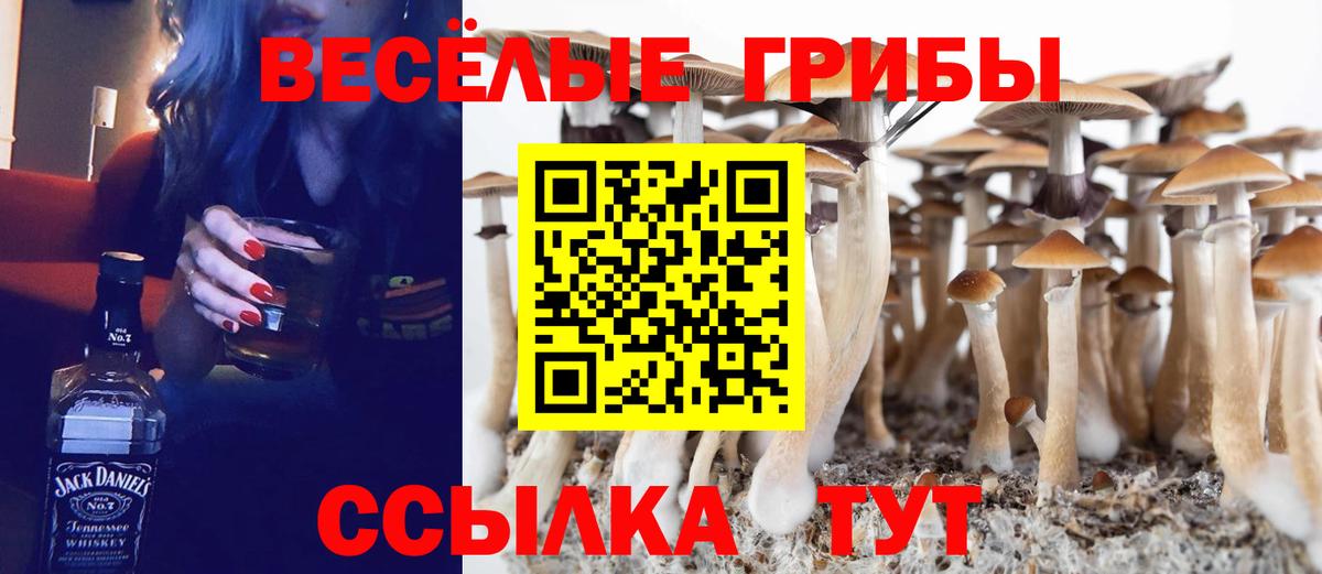 Барабинск  Псилоцибиновые грибы Psilocybine cubensis  Псилоцибиновые грибы GOLDEN TEACHER  Вход с VPN 