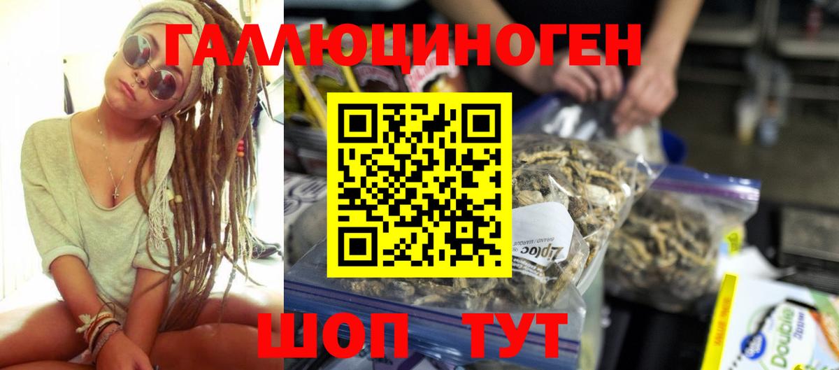 Галлюциногенные грибы Psilocybine cubensis Барабинск